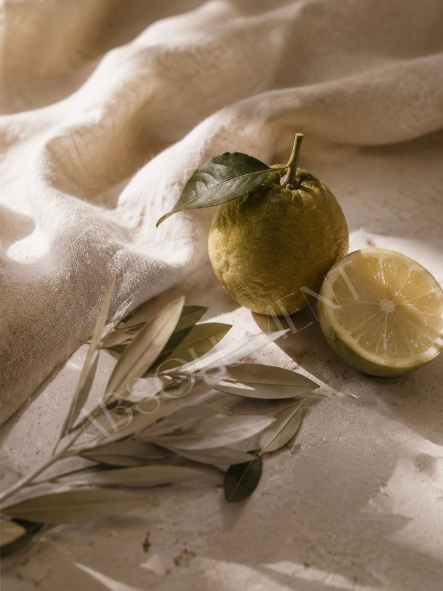 Affiche Bergamote représentant un fruit de bergamote accompagné de feuilles dans une lumière naturelle, sur un fond aux tons crème et sable.