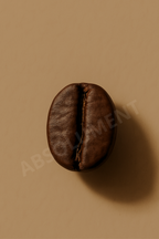 Affiche Grain de café torréfaction foncée