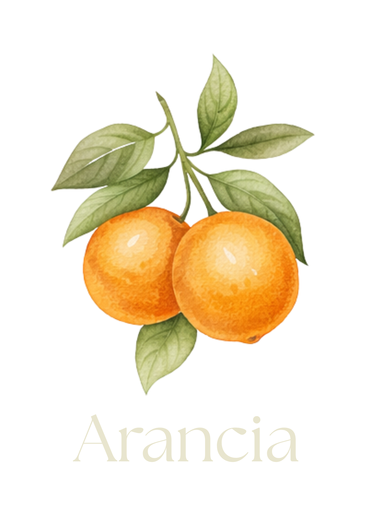 Chaleureuse et enveloppante, l'affiche Arancia imprimée au Québec& capture l’essence des journées baignées de soleil. Cette affiche apporte instantanément une note réconfortante et sophistiquée, parfaite pour transformer une pièce en refuge lumineux. Son style équilibré attire le regard tout en conservant une grande élégance.

Une invitation à ralentir et à savourer la beauté du quotidien.

S'agence parfaitement avec les affiches: Limoni / Agrumi

* AFFICHE SEULEMENT- CADRE NON INCLUS*

Dimensions: