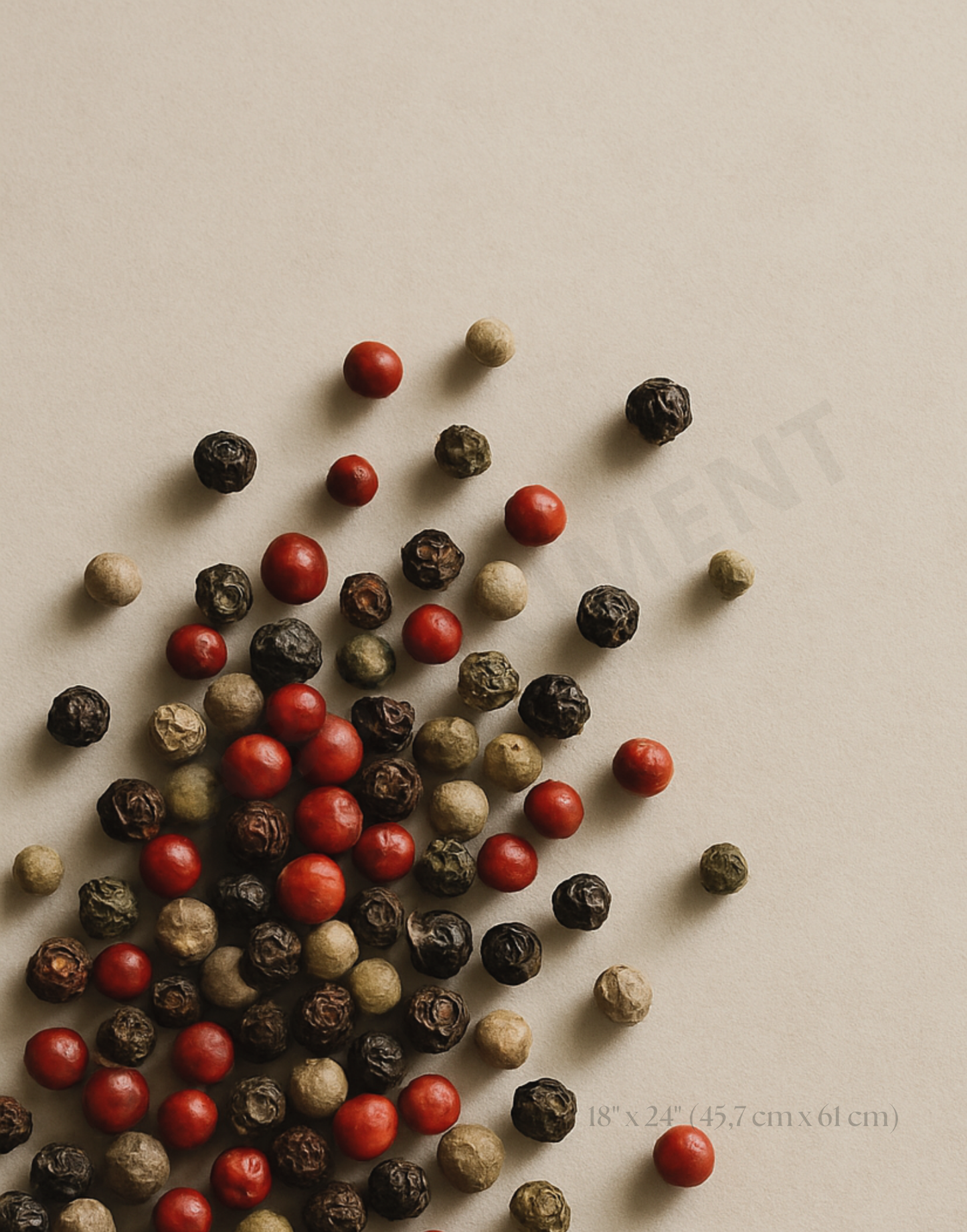 Affiche Poivres du monde