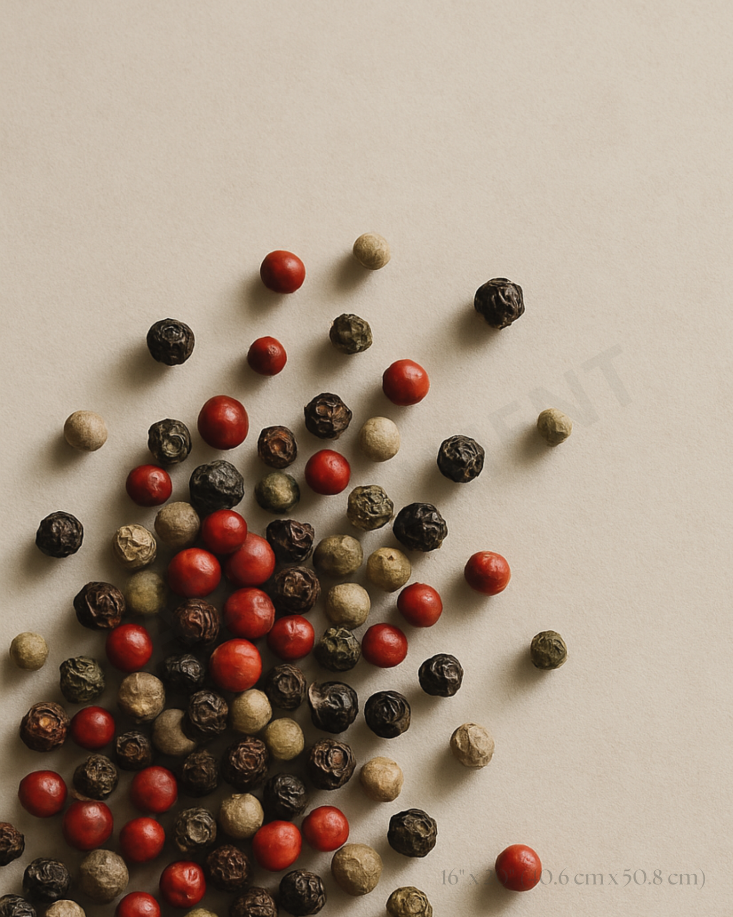 Affiche Poivres du monde