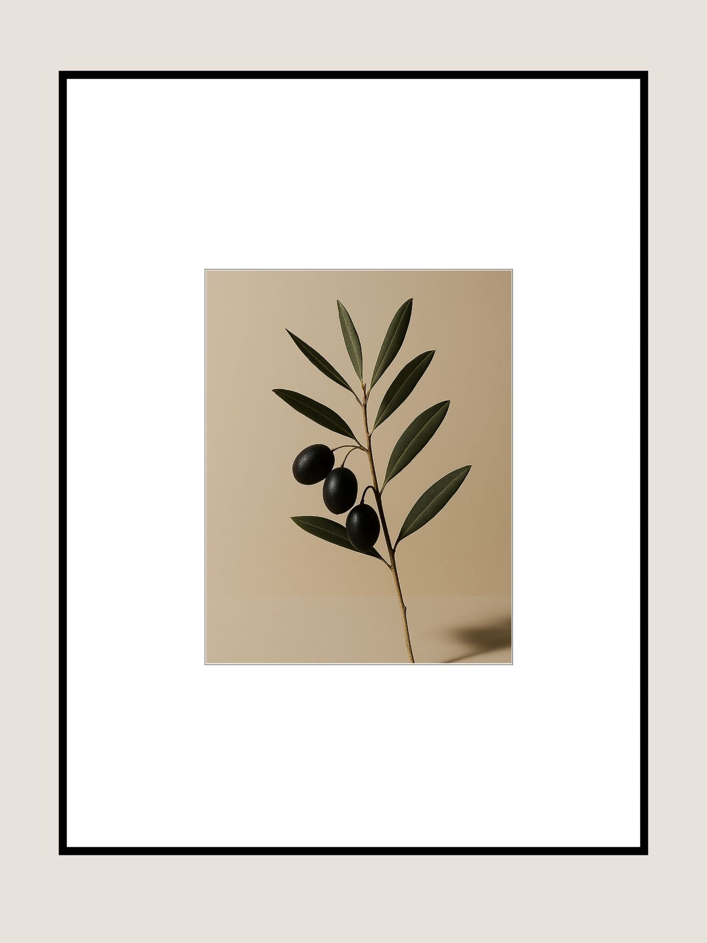 Affiche Branche d'Olivier