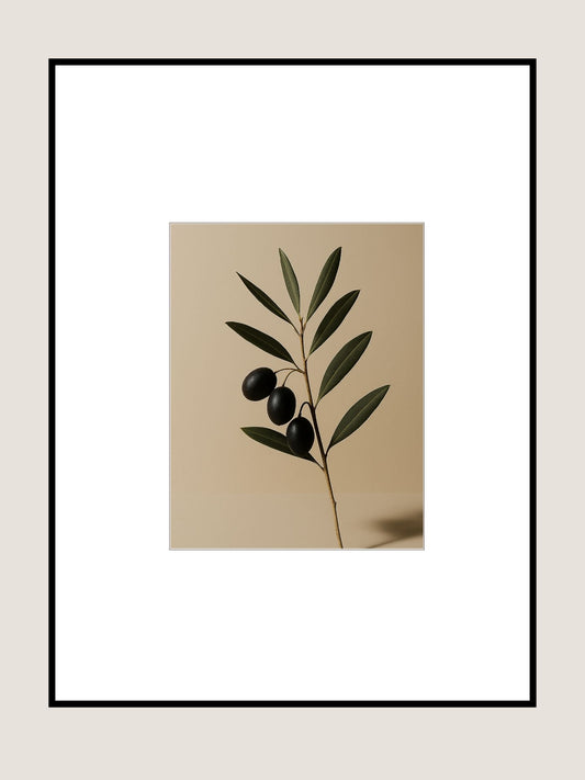 Affiche Branche d'Olivier