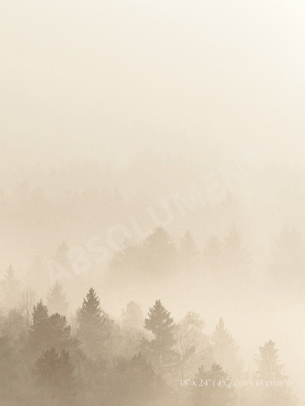 Affiche Brume vanille