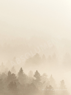 Affiche Brume vanille