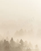 Affiche Brume vanille