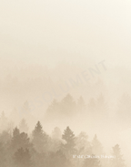 Affiche Brume vanille