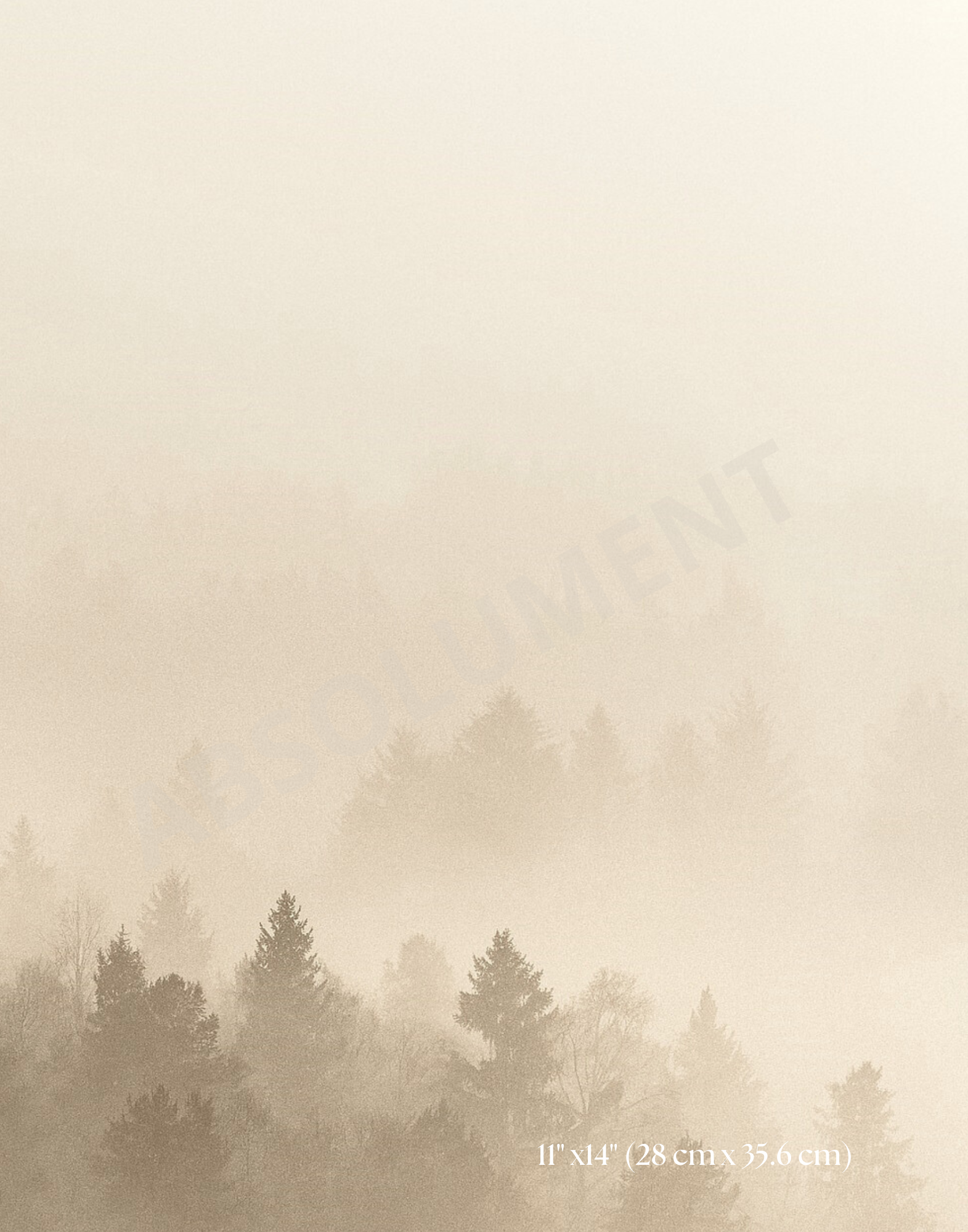 Affiche Brume vanille