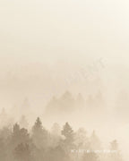 Affiche Brume vanille