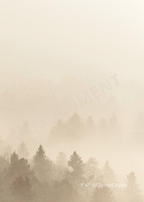 Affiche Brume vanille