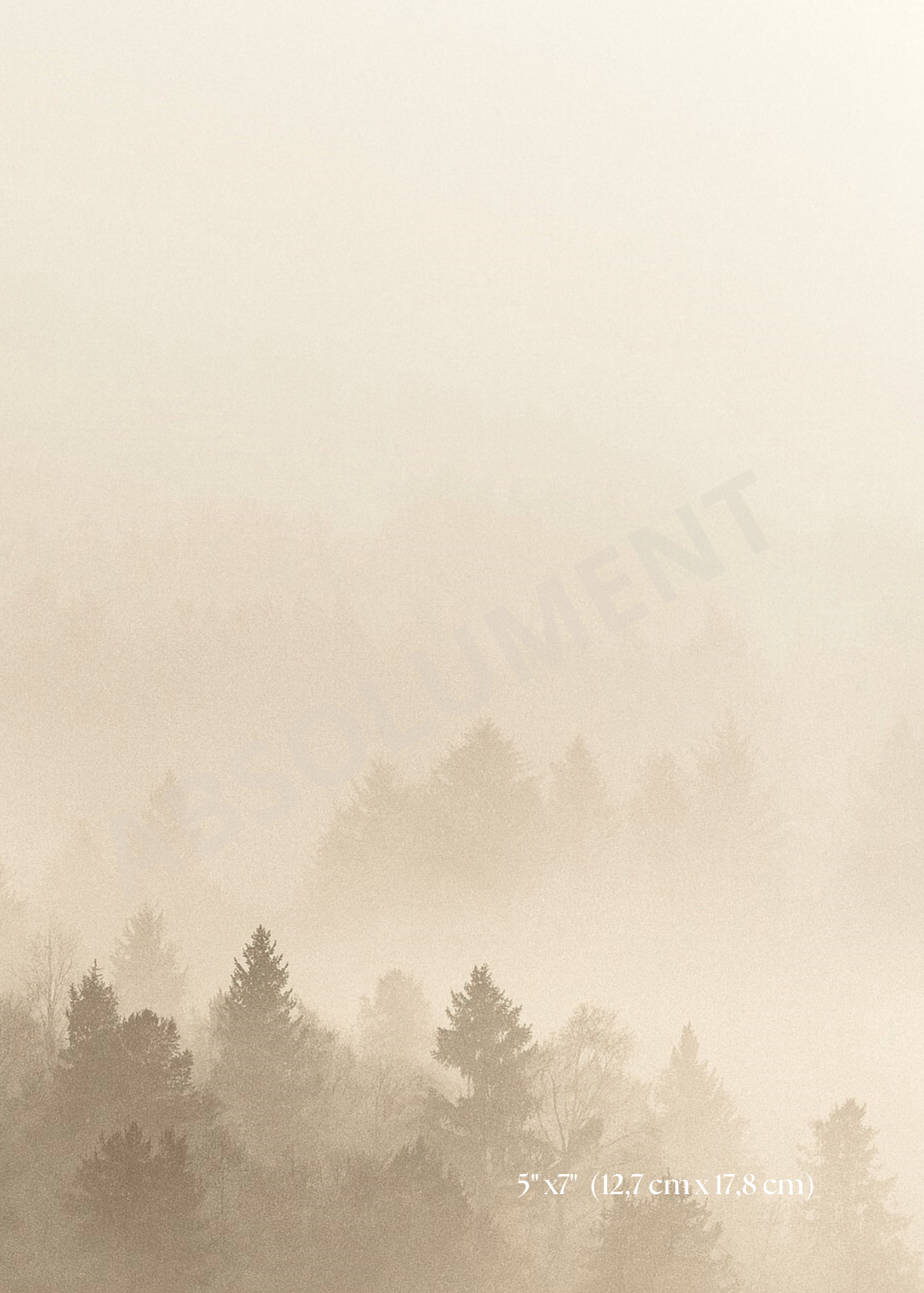 Affiche Brume vanille