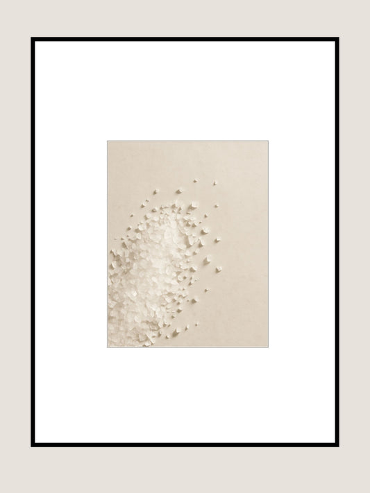 Affiche Fleur de Sel