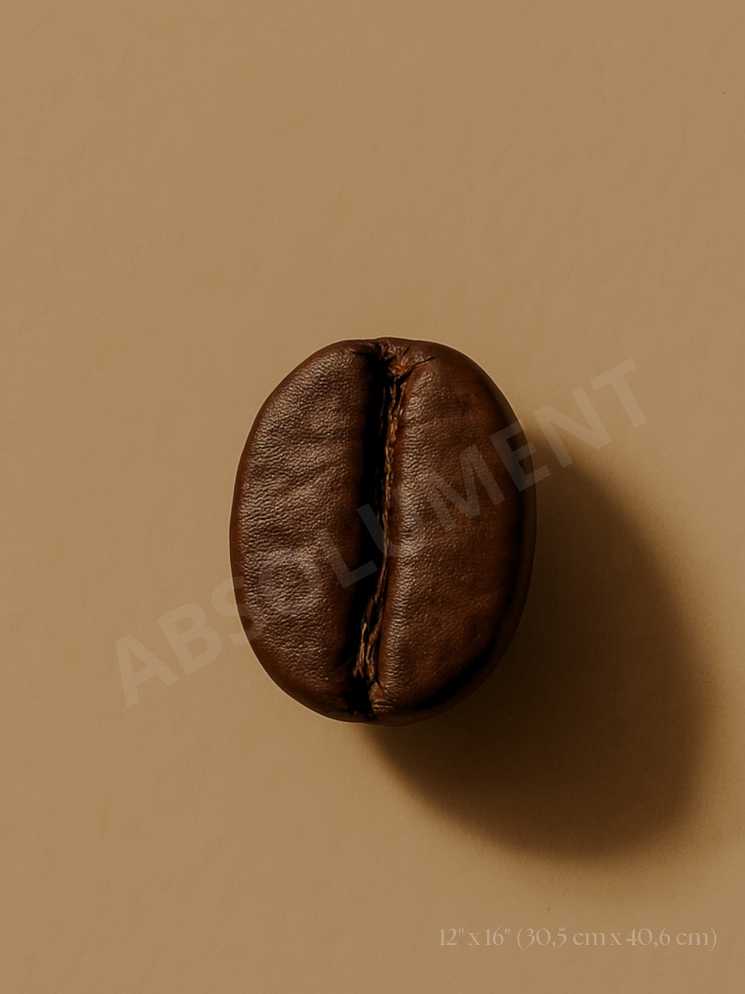Affiche Grain de café torréfaction foncée
