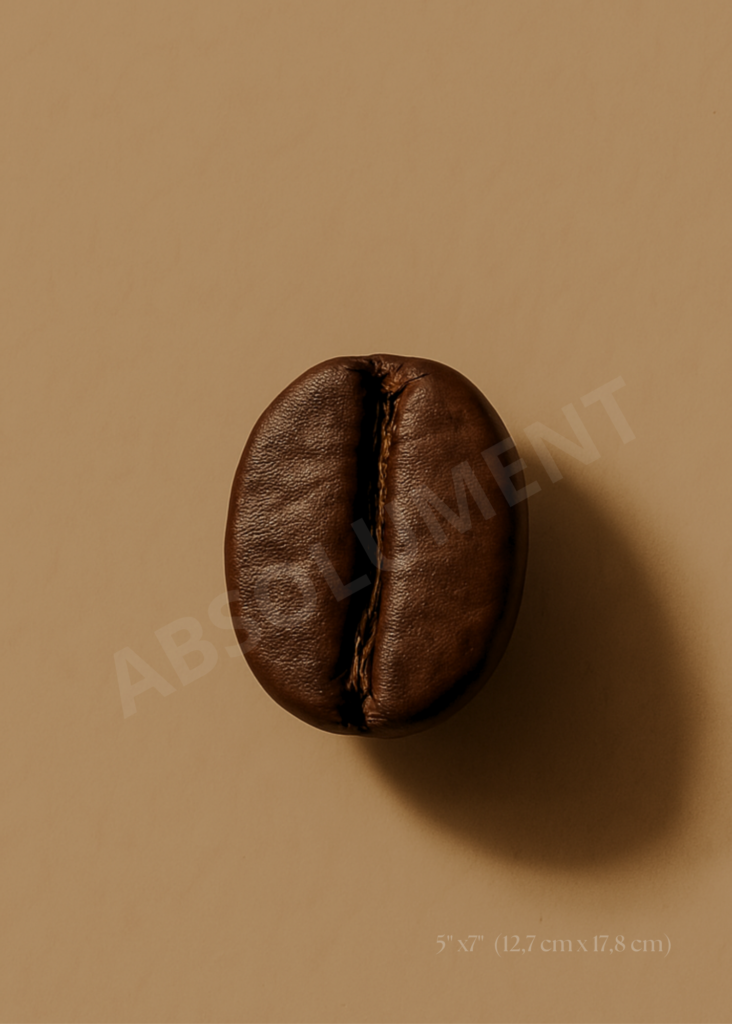 Affiche Grain de café torréfaction foncée