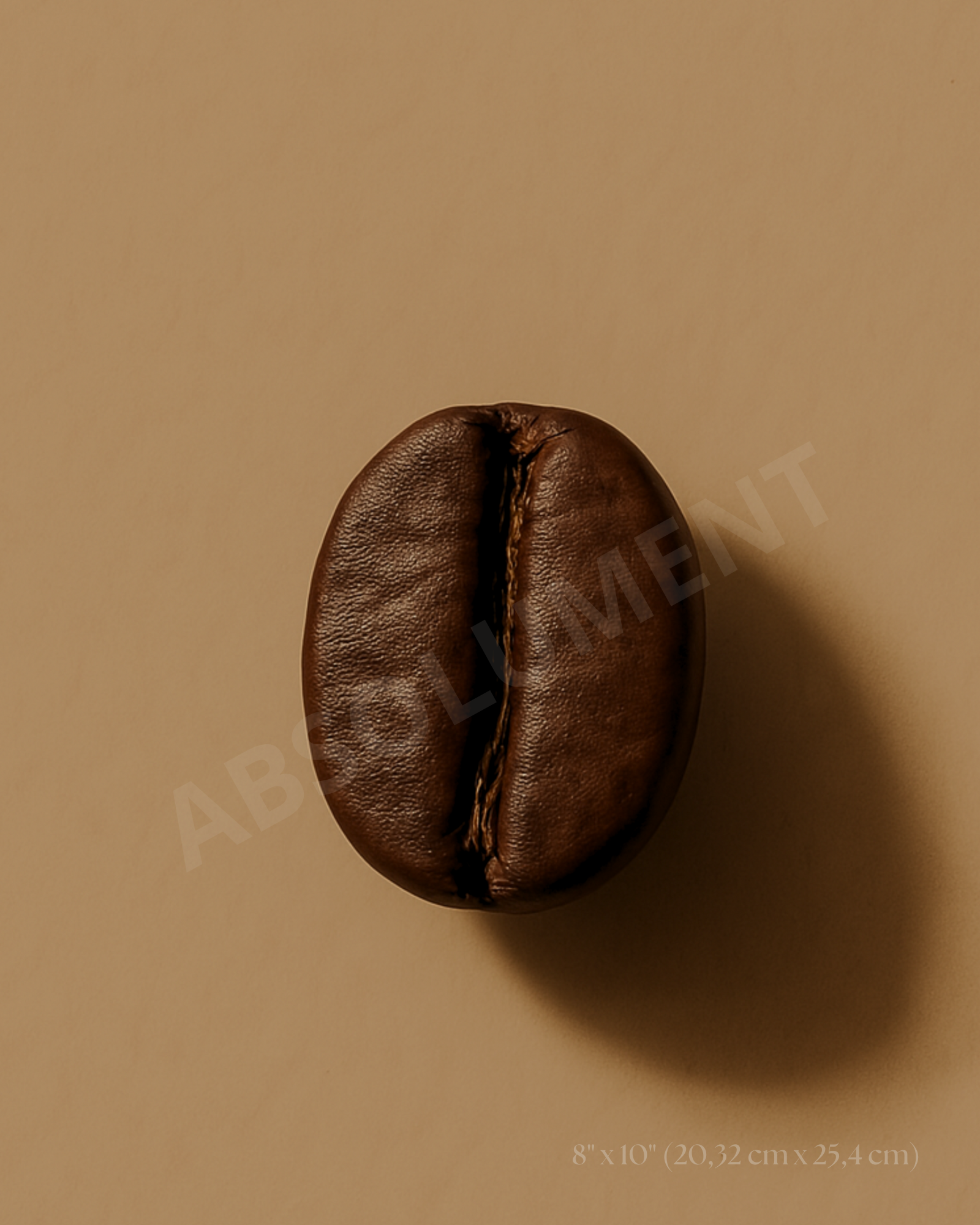 Affiche Grain de café torréfaction foncée