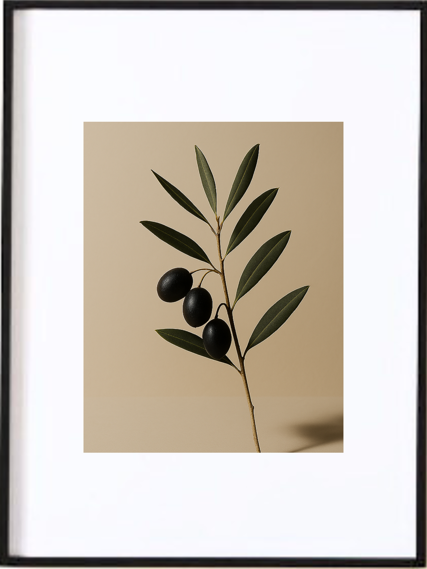 Affiche Branche d'Olivier