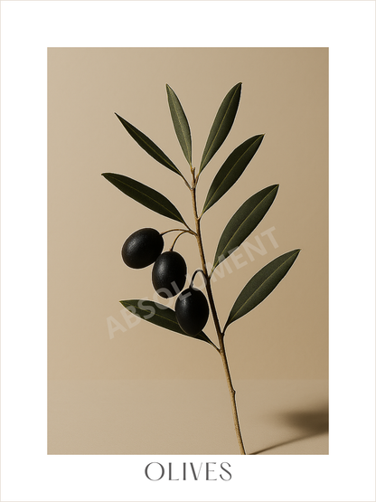 Affiche Branche d'Olivier