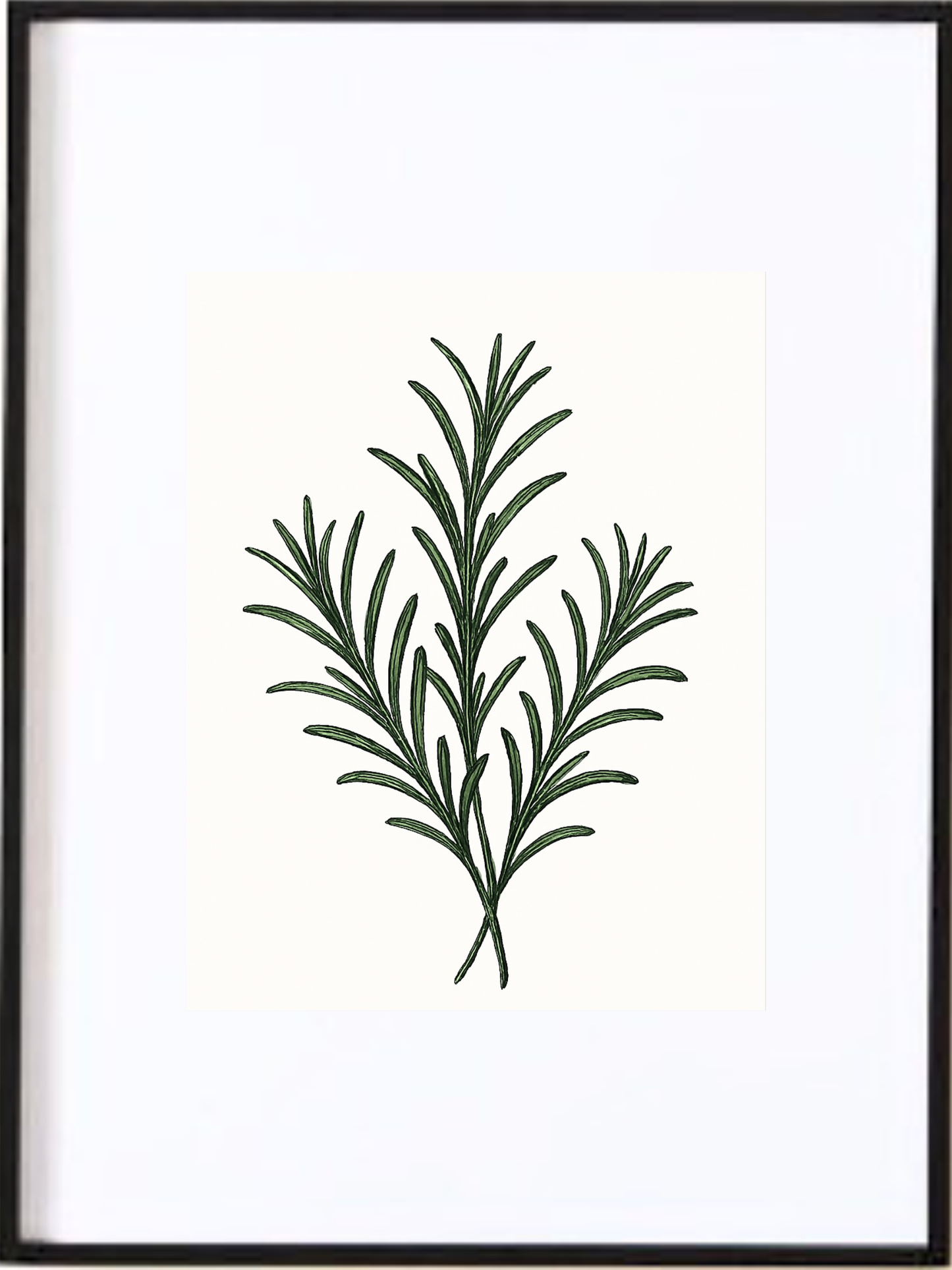 Affiche Romarin noir et blanc | Art mural botanique cuisine style minimaliste