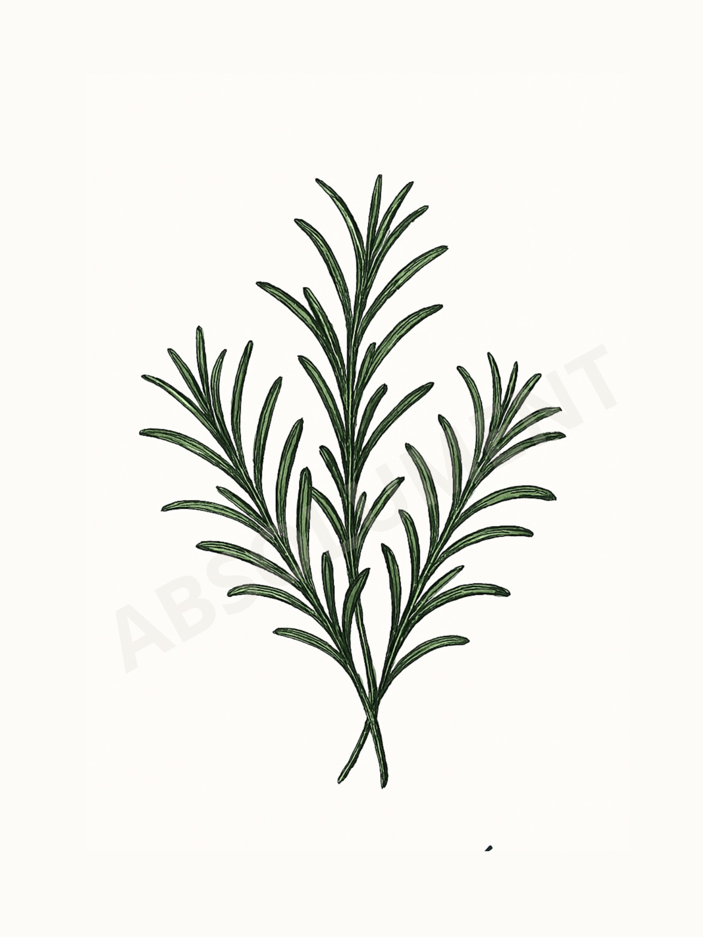 Affiche Romarin noir et blanc | Art mural botanique cuisine style minimaliste