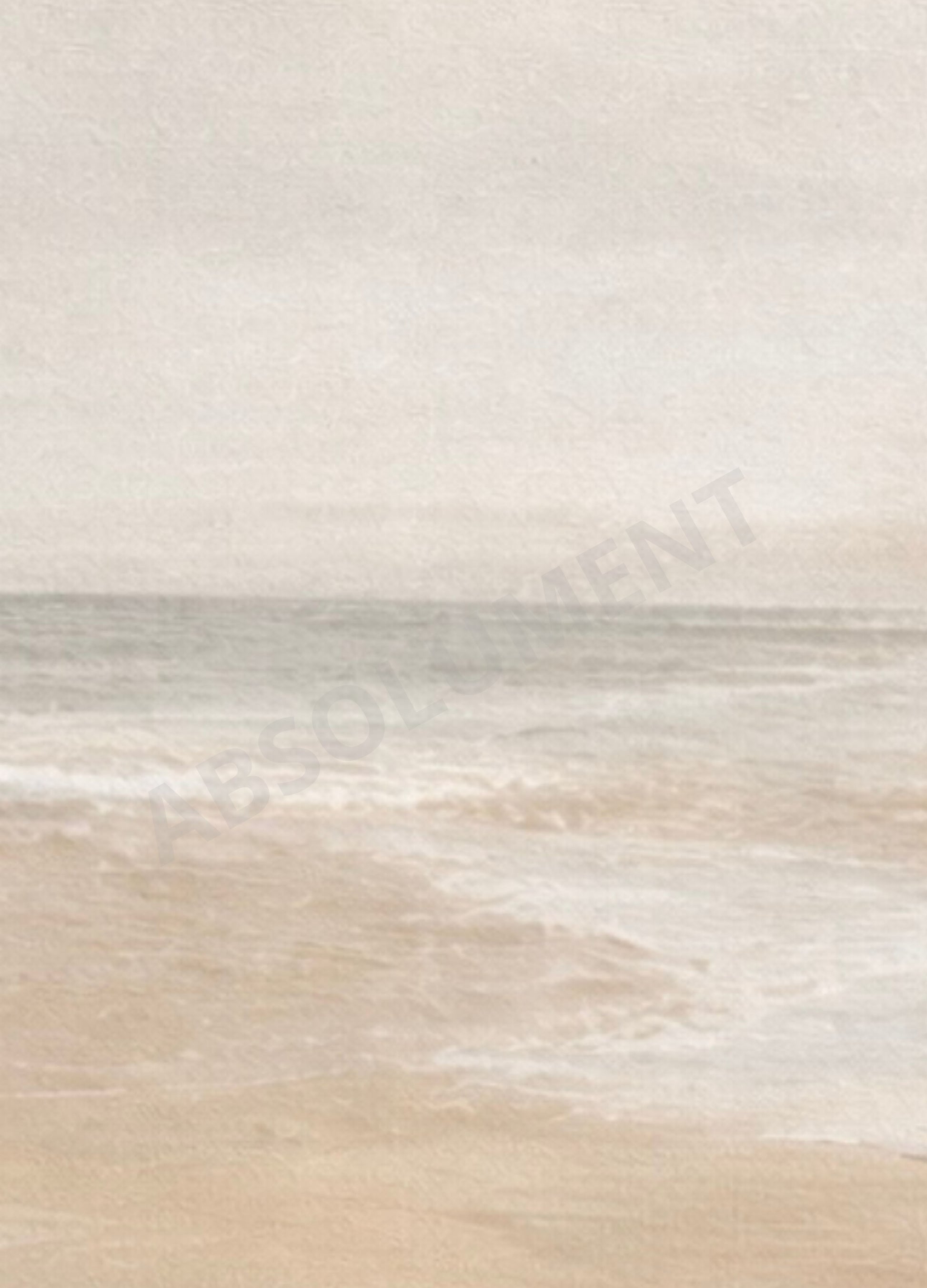 Apportez douceur et profondeur à votre espace avec ce trio d'affiches "Entre ciel et sable"
Chaque détail a été pensé pour créer un effet brumeux subtil, ajoutant texture et atmosphère à votre décor.

Imprimé sur papier cartonné de qualité, chaque affiche est prête à être encadrée pour créer un effet apaisant à votre votre chambre ou votre salon.

TROIS AFFICHES 18" X 24" (total 54" Large x 24" haut)

CADRES NON INCLUS

Détails:

Trois affiches 18" 24" (cadres non inclus)
Illustration Photo réaliste
Impress
